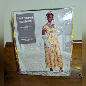 Halloween Women's Regency Romance Parade Gown Costume Cosplay Dress L XL 10-12